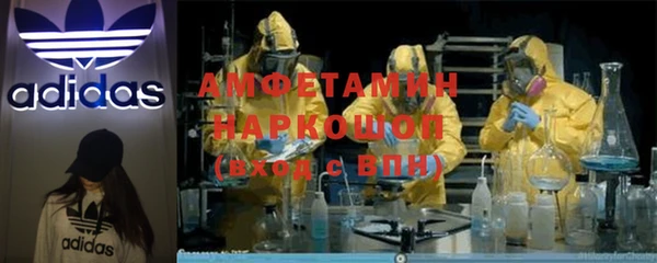 ГАЛЛЮЦИНОГЕННЫЕ ГРИБЫ Беломорск