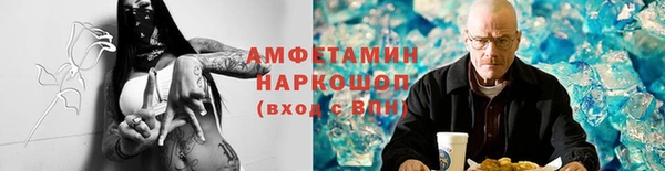 прущие грибы Белокуриха