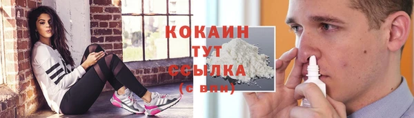 ГАЛЛЮЦИНОГЕННЫЕ ГРИБЫ Беломорск