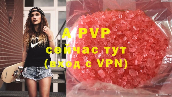 прущие грибы Белокуриха