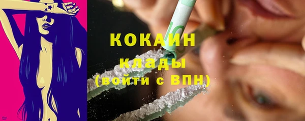 прущие грибы Белокуриха