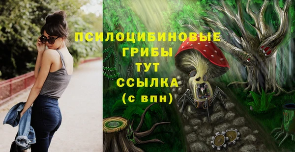 прущие грибы Белокуриха