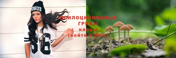 эйфоретик Белоозёрский