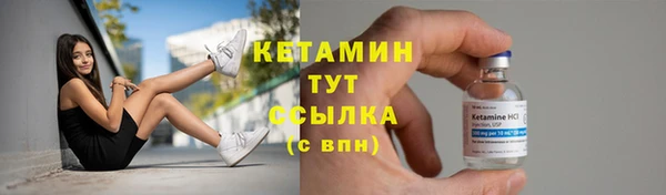 прущие грибы Белокуриха
