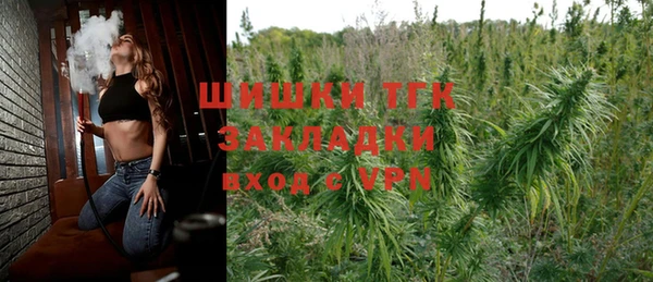 прущие грибы Белокуриха