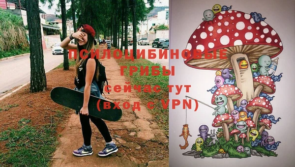 ГАЛЛЮЦИНОГЕННЫЕ ГРИБЫ Беломорск