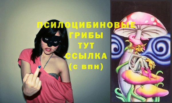 ГАЛЛЮЦИНОГЕННЫЕ ГРИБЫ Беломорск