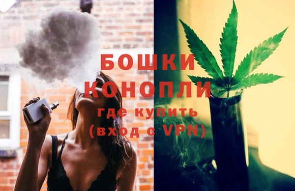 прущие грибы Белокуриха
