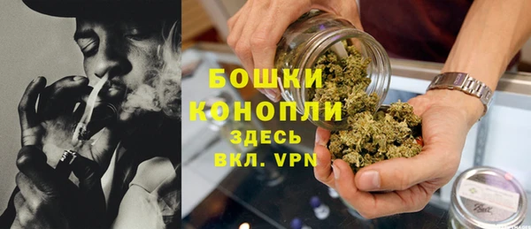 прущие грибы Белокуриха