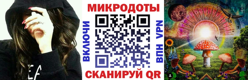 Галлюциногенные грибы Psilocybe  Лабинск 